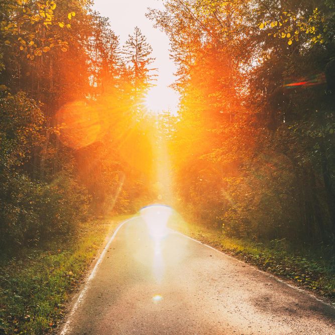 Дорога послушания Богу (опыт больного СПИДом)