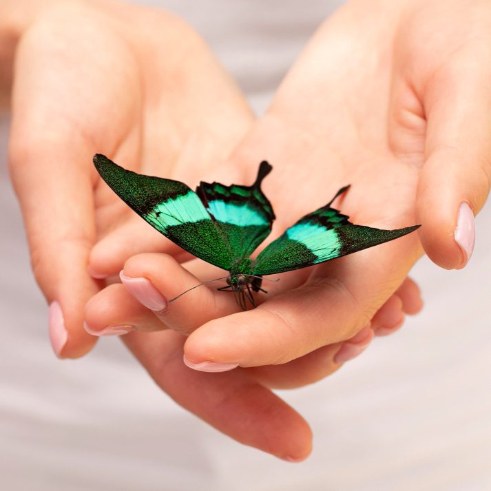 Касаясь женской души