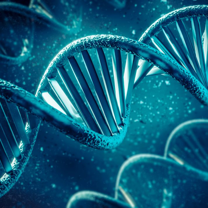 Исследование генетической предрасположенности к гомосексуальности