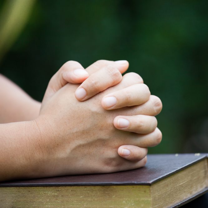 Дорогу осилит идущий! (рус.)