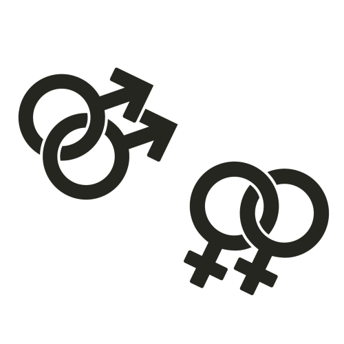 Гомосексуализм. Клиническое описание