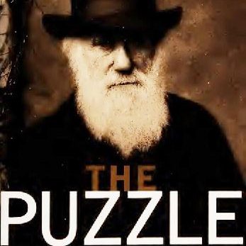 THE PUZZLE. Exploring the Evolutionary Puzzle of Male Homosexuality <br><span class=bg_bpub_book_author>Louis A. Berman</span>